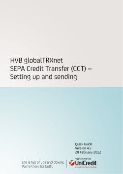 HVB globalTRXnet SEPA Credit Transfer (CCT)