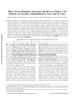 Shear Stress Regulates Forward and Reverse Planar Cell Polarity of