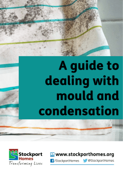 Mould and condensation