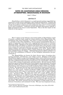 notes on dianthidium simile