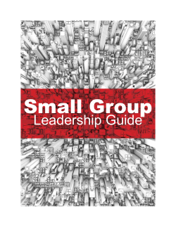 Flesh Small Group Leadership Guide by Hugh Halter