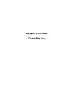 Biology Practical Report