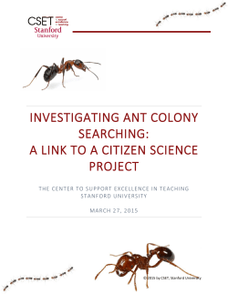 investigating ant colony searching: a link to a citizen science project