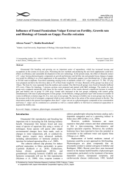 Influence of Fennel Foeniculum Vulgar Extract on Fertility, Growth