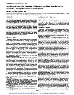 Alteration of Pancreatic Endocrine Cell Patterns and Their Secretion