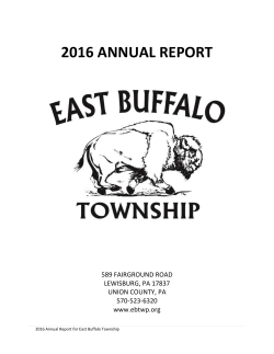 2016 annual report - East Buffalo Township