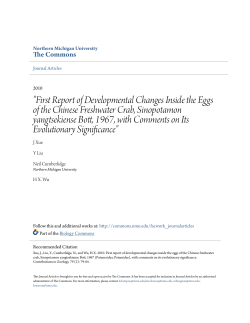 "First Report of Developmental Changes Inside the Eggs of the