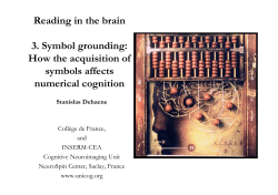 How the acquisition of symbols affects numerical cognition