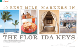 Florida Keys - lori barbely