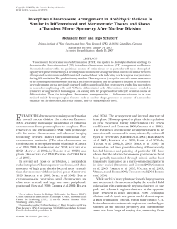 Interphase Chromosome Arrangement in Arabidopsis