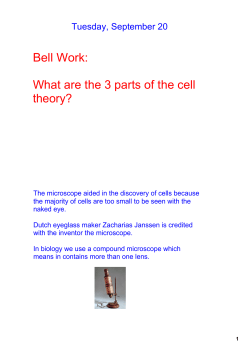 Bell Work: What are the 3 parts of the cell theory?