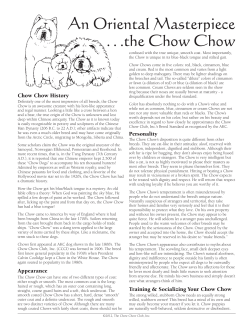 An Oriental Masterpiece ...the Chow Chow