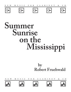 Summer Sunrise on the Mississippi by Robert Fruehwald