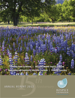 Important Milestones