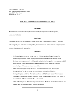 Issue Brief: Immigration and Socioeconomic Status