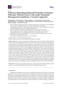 Full-Text PDF
