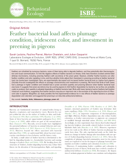 PDF - Oxford Academic - Oxford University Press