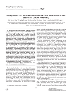 Phylogeny of East Asian Bufonids Inferred from