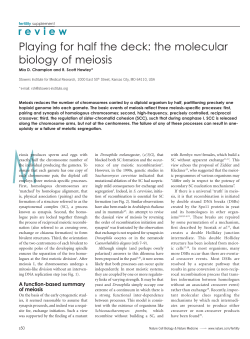 Playing for half the deck: the molecular biology of meiosis