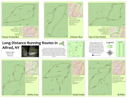 House Extended Chicken Run Top of the World Kathy Grey Dead