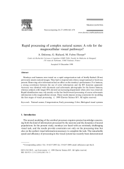 Rapid processing of complex natural scenes: A role for the