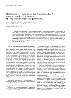 Stabilization of Human &beta;-D-N-Acetylhexosaminidase A towards