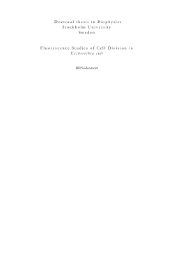 Fluorescence Studies of Cell Division in Escherichia coli