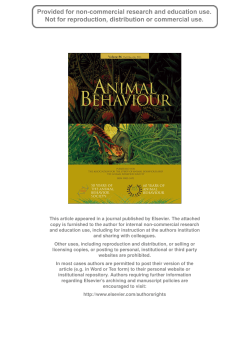 Author`s personal copy - synergy