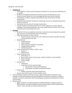 Biology 3B - Lab Practical #2 &bull; Chordate Lab: o There might be 1