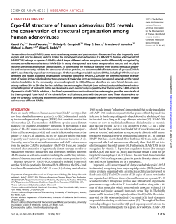 Cryo-EM structure of human adenovirus D26 reveals the