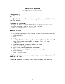 The Surge of the Storm