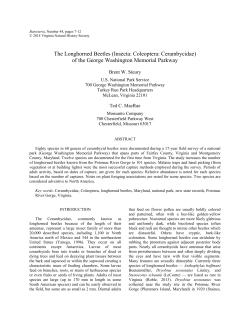 The Longhorned Beetles (Insecta: Coleoptera: Cerambycidae) of the