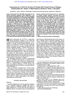 Expression in a Cell-Free System of Normal and Variant Forms of