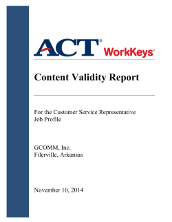 Content Validity Report