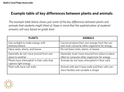 Example table of key differences between plants and animals
