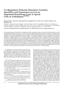 Cis-Regulatory Elements Determine Germline