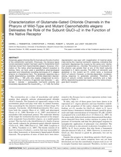 Characterization of Glutamate-Gated Chloride Channels in the