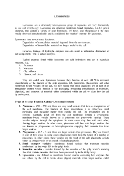 LYSOSOMES Lysosomes are a structurally heterogeneous group of