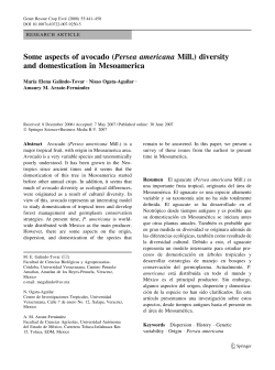 Some aspects of avocado (Persea americana Mill.) diversity and