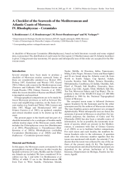 Ceramiales - Institut M&eacute;diterran&eacute;en d`Oc&eacute;anologie