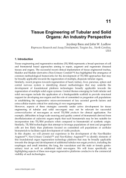 Tissue Engineering of Tubular and Solid Organs: An