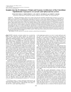 Insights into the Evolutionary Origin and Genome Architecture of the