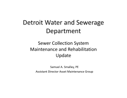 Detroit Water and Sewerage Department
