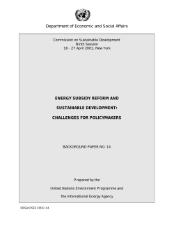 Energy Subsidy Reform and Sustainable Development