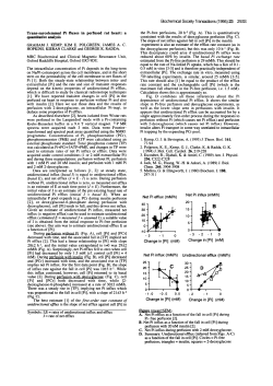 Trans-sarcolemmal Pi fluxes in perfused rat heart