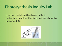 Photosynthesis Inquiry Lab - Flipped Out Science with Mrs. Thomas!