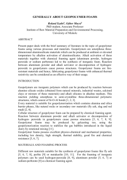 GENERALLY ABOUT GEOPOLYMER FOAMS