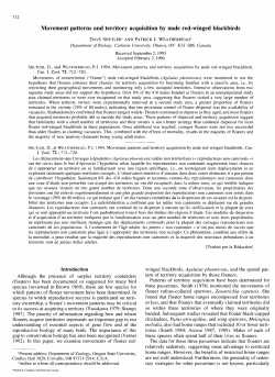Movement patterns and territory acquisition by