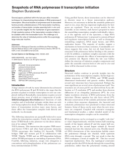 Snapshots of RNA polymerase II transcription initiation Stephen
