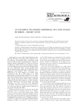 AN EXAMPLE OF PASSIVE DISPERSAL OF LAND SNAILS BY